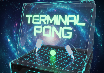 3D Terminal Pong